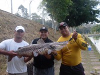 /album/galeria-de-fotos/equipe%20enverga%20mas%20n%c3%a3o%20quebra-jpg/